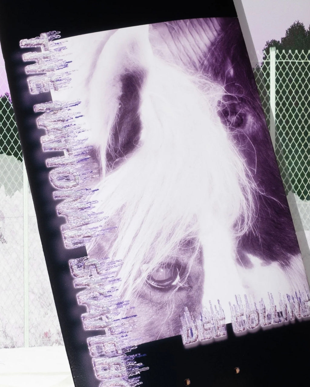 The National Skateboard Co. Dee Collins Horse Canal Deck 8.375"