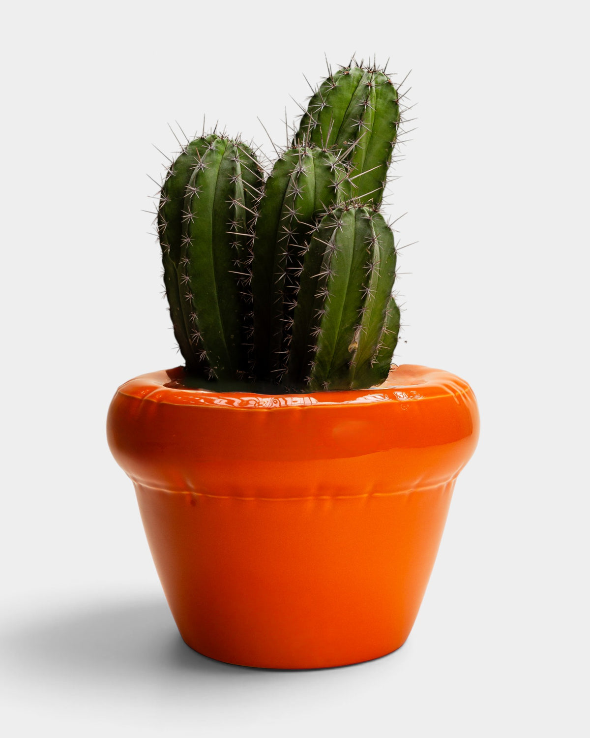 Home Studyo PIERRE Planter - Carrot Gloss Orange