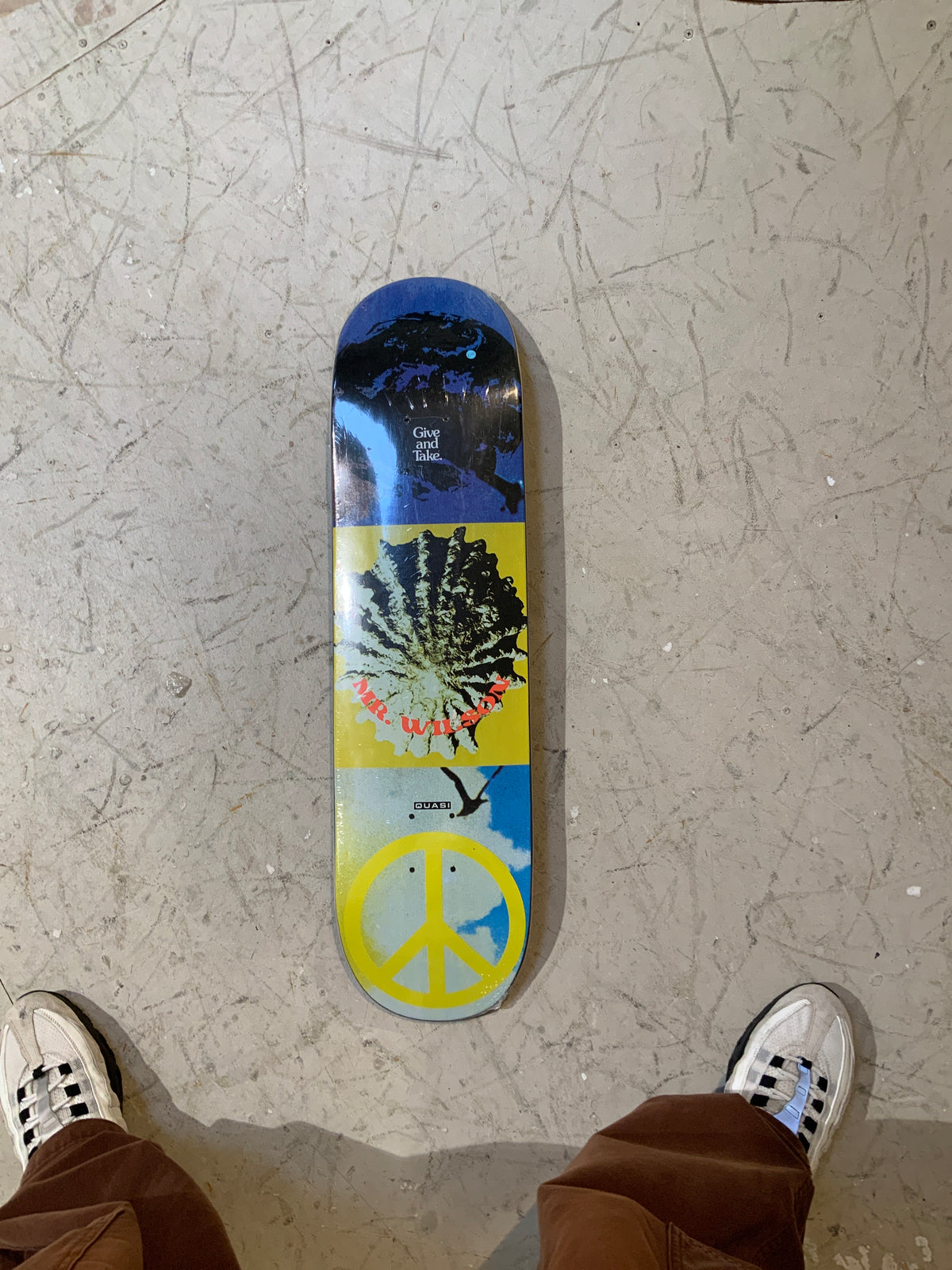 Quasi Wilson Aquarius Deck 8.125"