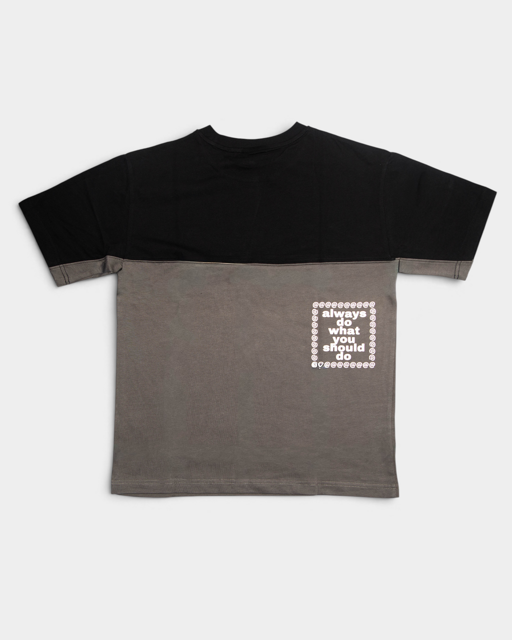 Lockwood Avenue ADWYSD Waza Panelled T-Shirt in Grey/Black seen from the back, a boxed always do what you should do print on the grey panel