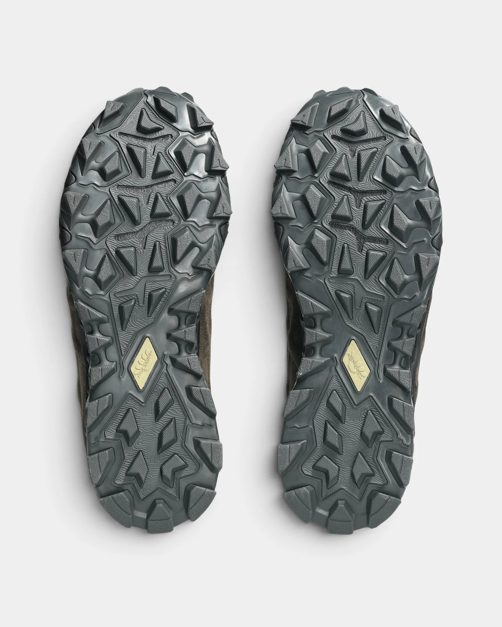Asics GEL-Transcend FJ Shoes