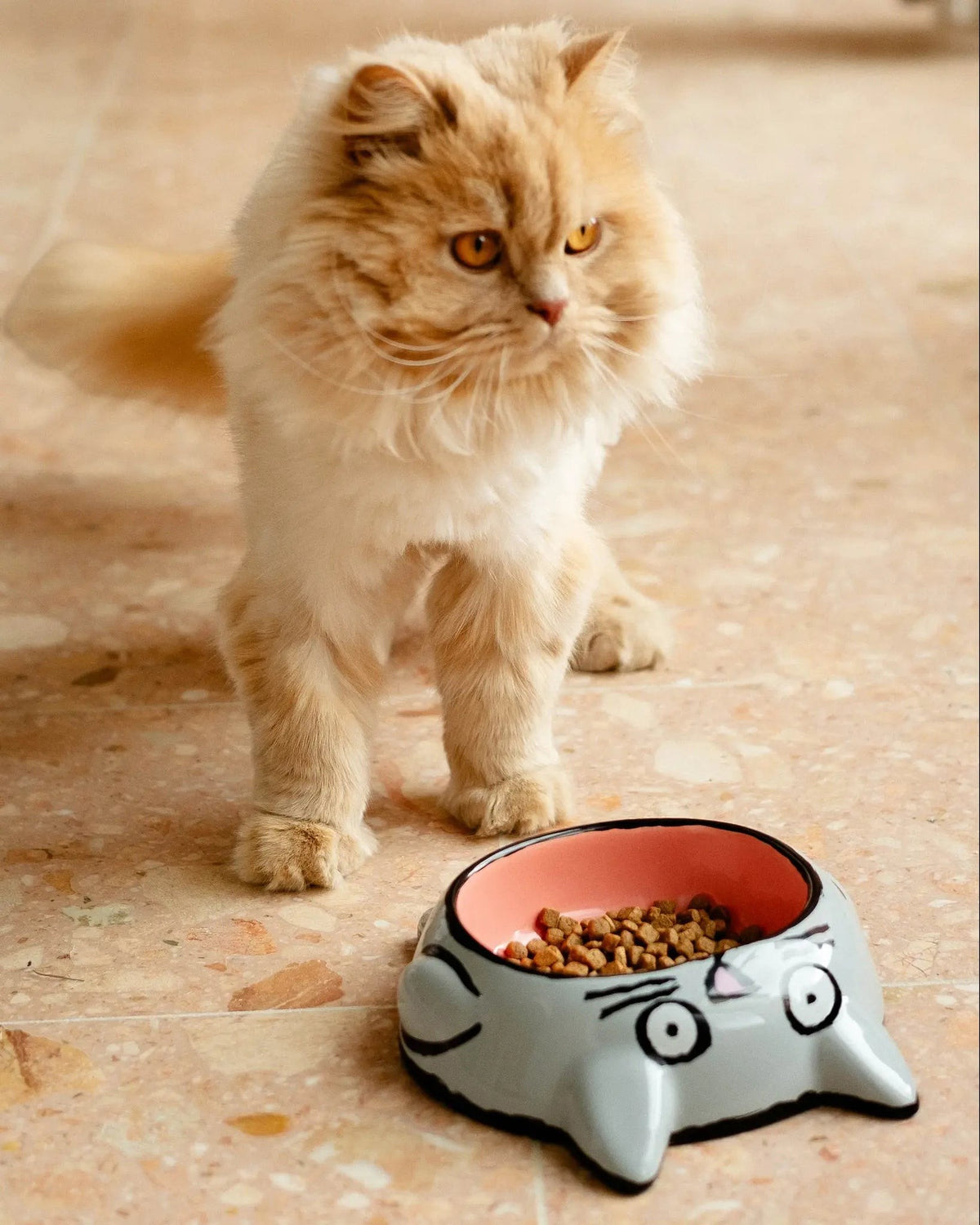 Home Studyo x Jean Jullien Cat Bowl