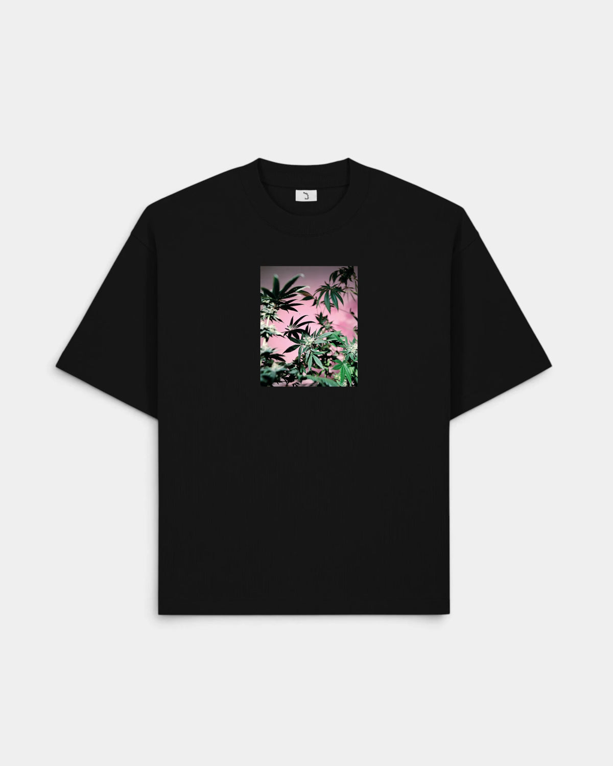 Lockwood Avenue Poetic Collective Coloured Cannabis Series 2 T-Shirt in black, front view with a pink and green cannabis photo print on the chest